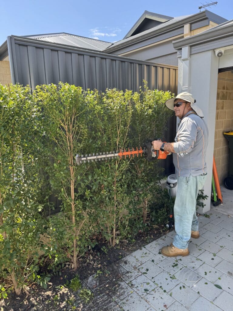 Hedge Trimming Perth