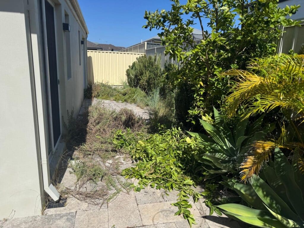 Rubbish Removal Service