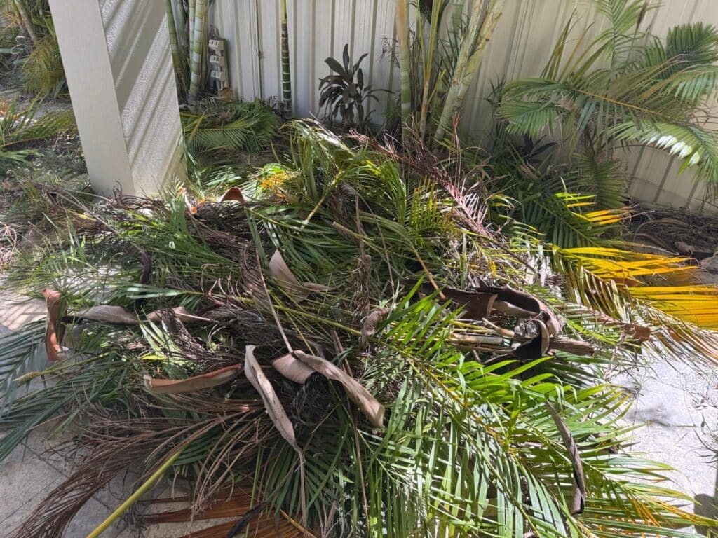 Rubbish Removal Service